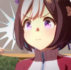 66293 B