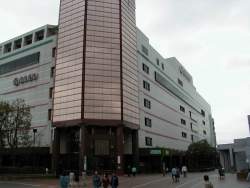 97681 B