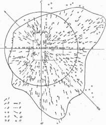 125756 B