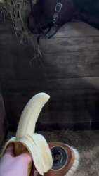 7049158 B