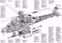 235541 B