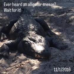 4640608 B