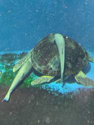 2265625 B
