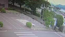 1299795 B