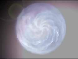8081777 B