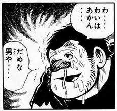 24446 B