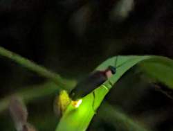 1259361 B