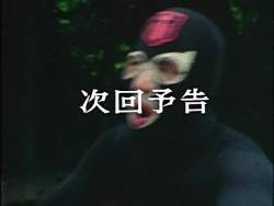 4367389 B