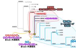 261178 B