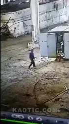 2949846 B