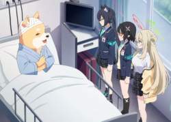 135183 B