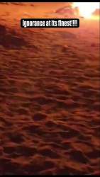 8106544 B