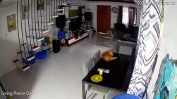 4775704 B