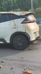 2951574 B