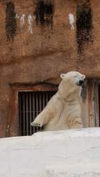 878288 B