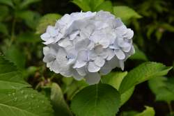 823258 B