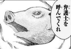 75954 B