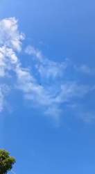 1208293 B