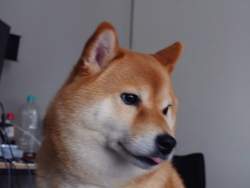 1287313 B