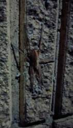 2660976 B