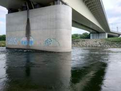 3702541 B