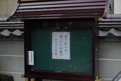 1264908 B