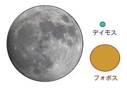 15957 B