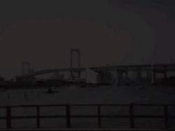 8175582 B