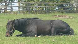 1179785 B