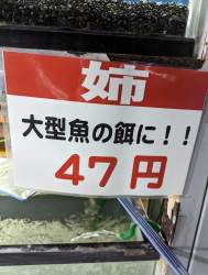 193079 B