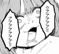 53183 B