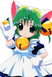 77833 B