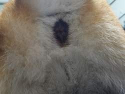 1735922 B