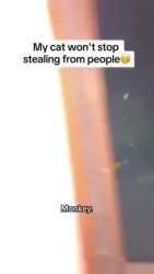 5635525 B