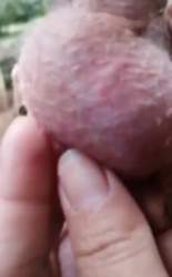 1184522 B