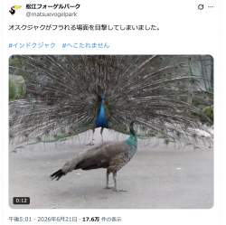 1267626 B