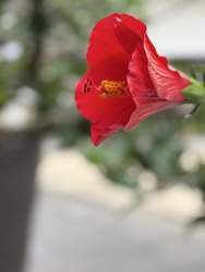 71107 B