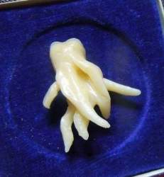70166 B