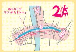 262844 B