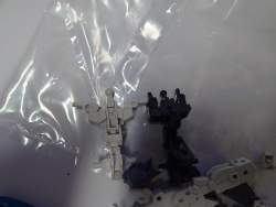 2081603 B