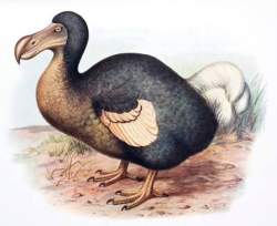 27127 B