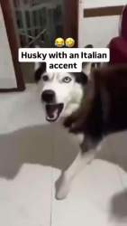 1123988 B