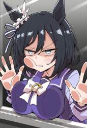3569017 B