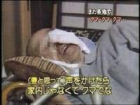 10281 B