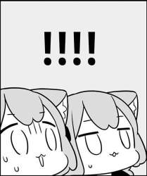 49341 B