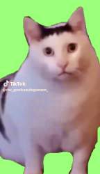 2435887 B