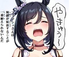 42253 B