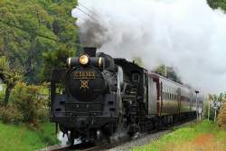 1269308 B