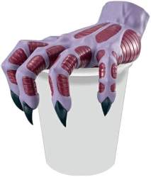 42148 B