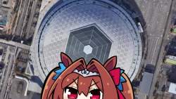 4899184 B